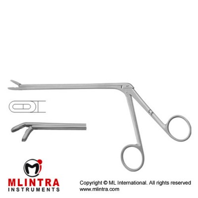 Leminectomy Rongeur Down - Fenestrated and Serrated Jaws Stainless Steel, 15.5 cm - 6" Bite Size 4 x 14 mm